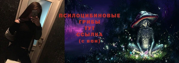 стафф Дмитровск
