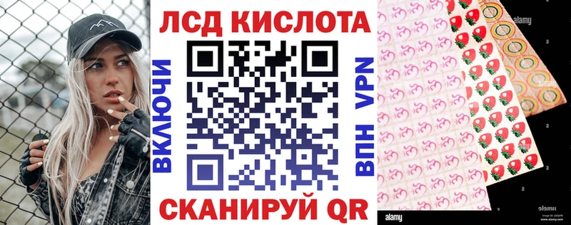 где можно купить наркотик  Жиздра  Наркотические марки 1,5мг 